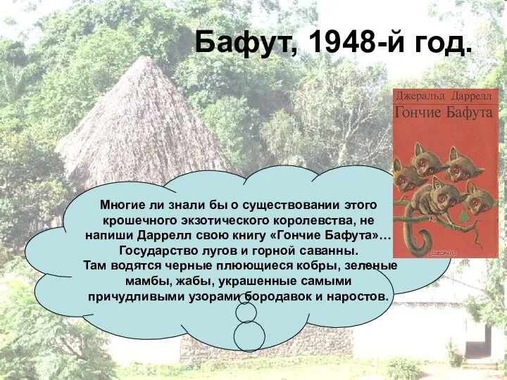 Бафут, 1948-й год. Многие ли знали бы о существовании этого крошечного