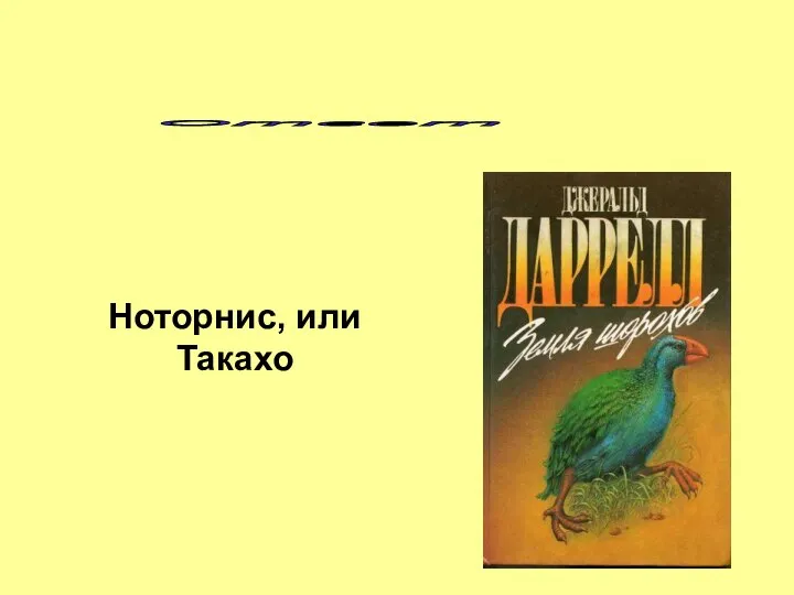 Ответ Ноторнис, или Такахо