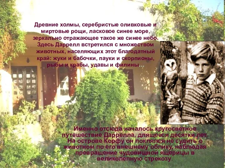 Именно отсюда началось кругосветное путешествие Даррелла, длящееся десятки лет. На острове