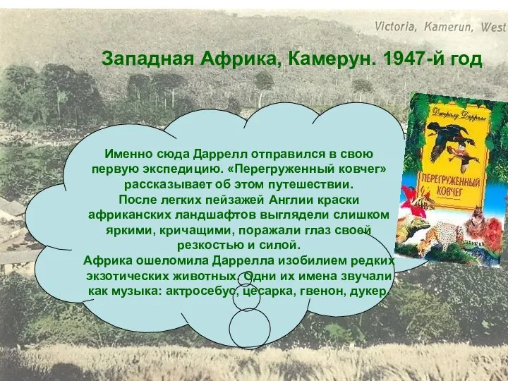 Западная Африка, Камерун. 1947-й год Именно сюда Даррелл отправился в свою