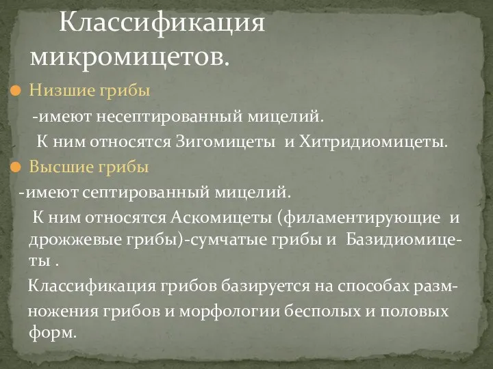 Низшие грибы -имеют несептированный мицелий. К ним относятся Зигомицеты и Хитридиомицеты.