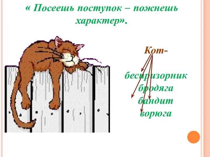 « Посеешь поступок – пожнешь характер». Кот- беспризорник бродяга бандит ворюга