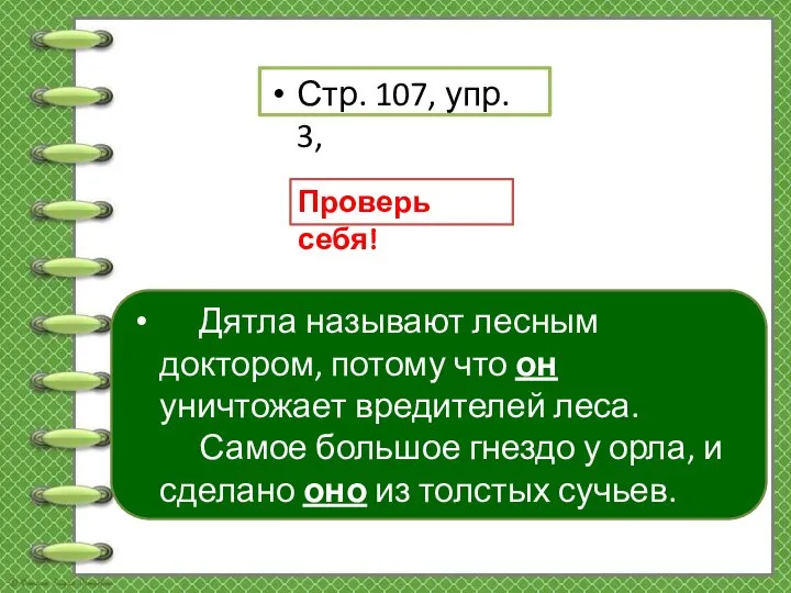 Дятла называют лесным доктором, потому что он уничтожает вредителей леса. Самое