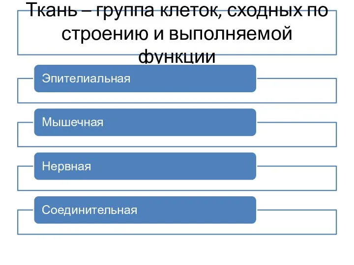 Ткань – группа клеток, сходных по строению и выполняемой функции