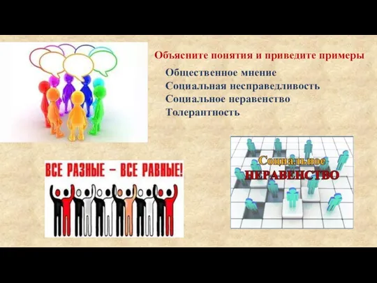 Общественное мнение Социальная несправедливость Социальное неравенство Толерантность Объясните понятия и приведите примеры