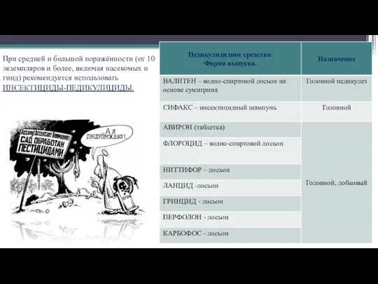 При средней и большой поражённости (от 10 экземпляров и более, включая