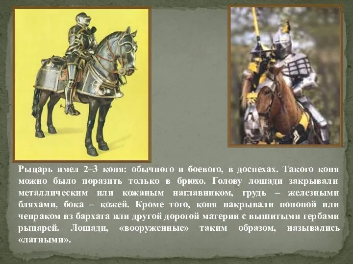 Рыцарь имел 2–3 коня: обычного и боевого, в доспехах. Такого коня