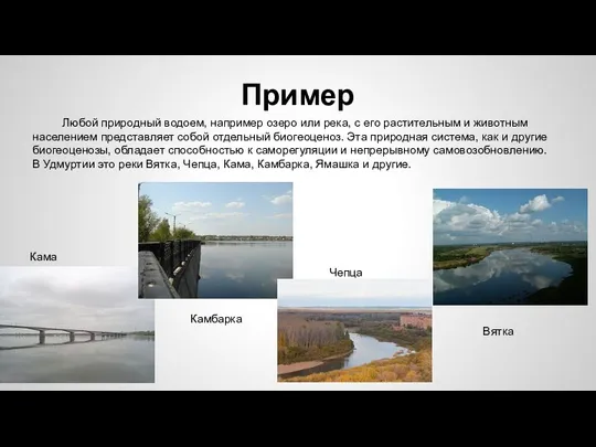 Пример Любой природный водоем, например озеро или река, с его растительным