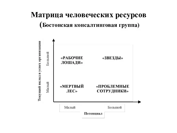 Матрица человеческих ресурсов (Бостонская консалтинговая группа)