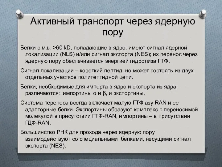 Активный транспорт через ядерную пору Белки с м.в. >60 kD, попадающие