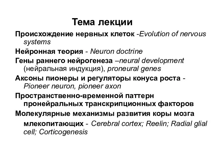 Происхождение нервных клеток -Evolution of nervous systems Нейронная теория - Neuron