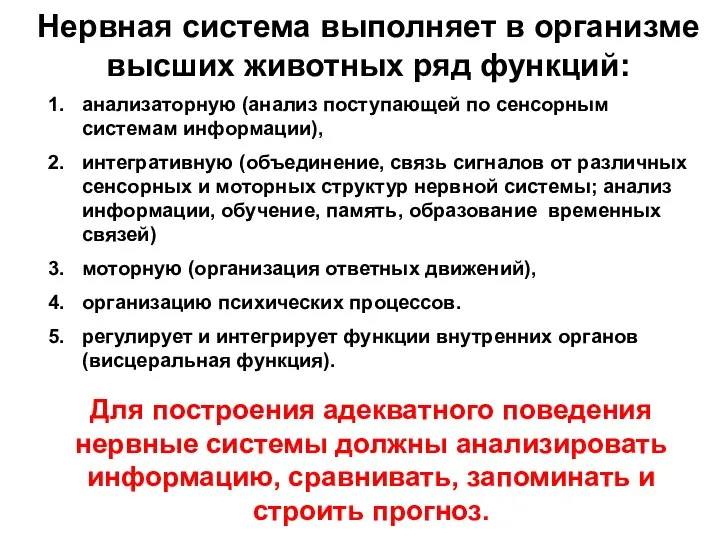 анализаторную (анализ поступающей по сенсорным системам информации), интегративную (объединение, связь сигналов