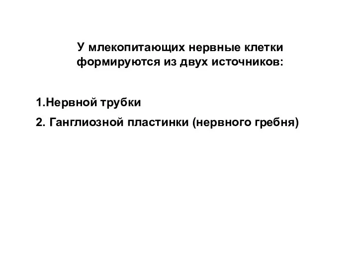 У млекопитающих нервные клетки формируются из двух источников: 1.Нервной трубки 2. Ганглиозной пластинки (нервного гребня)