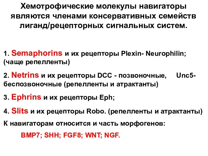 Хемотрофические молекулы навигаторы являются членами консервативных семейств лиганд/рецепторных сигнальных систем. 1.