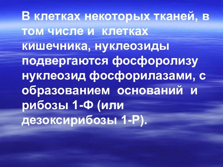 В клетках некоторых тканей, в том числе и клетках кишечника, нуклеозиды