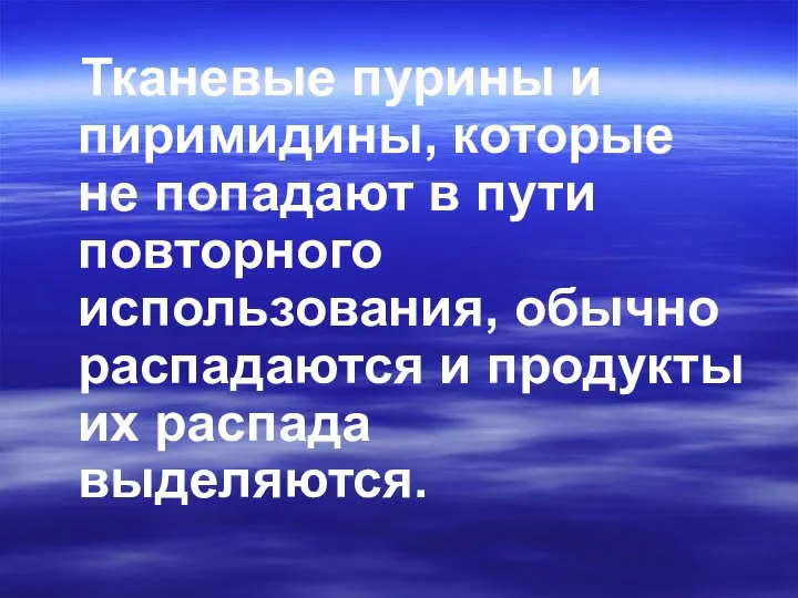 Тканевые пурины и пиримидины, которые не попадают в пути повторного использования,