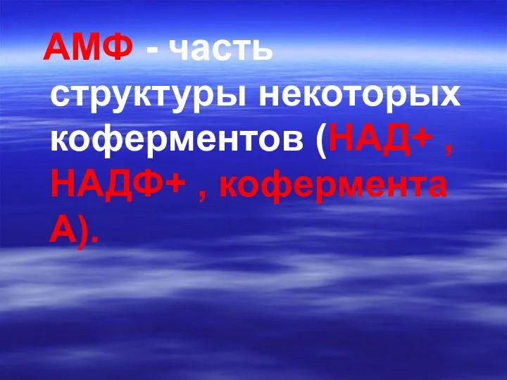 AMФ - часть структуры некоторых коферментов (НАД+ , НАДФ+ , кофермента A).