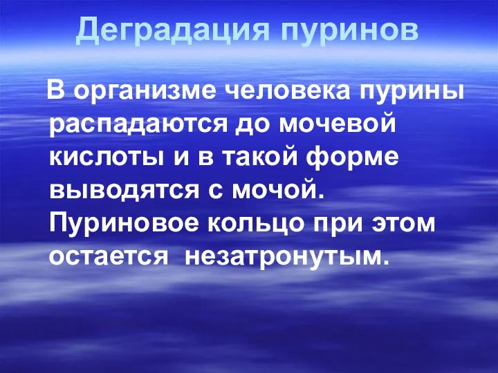 Деградация пуринов В организме человека пурины распадаются до мочевой кислоты и