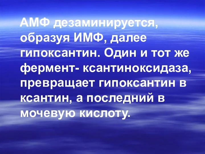 АМФ дезаминируется, образуя ИМФ, далее гипоксантин. Один и тот же фермент-