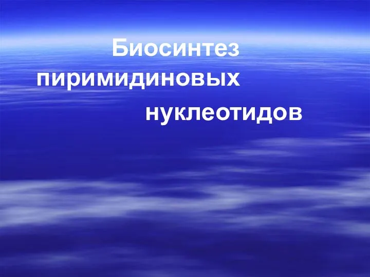 Биосинтез пиримидиновых нуклеотидов