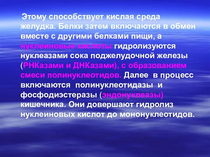 Этому способствует кислая среда желудка. Белки затем включаются в обмен вместе