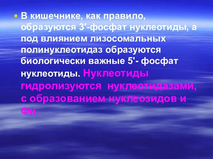 В кишечнике, как правило, образуются 3'-фосфат нуклеотиды, а под влиянием лизосомальных