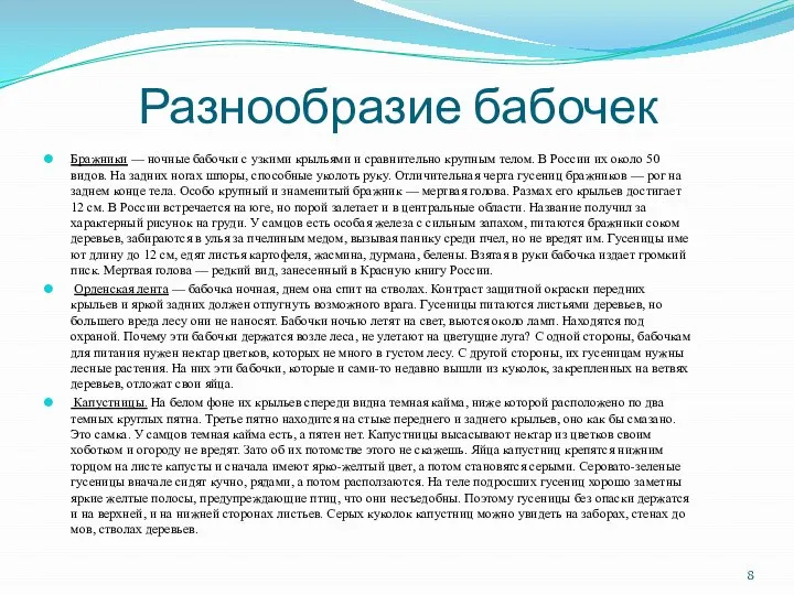 Разнообразие бабочек Бражники — ночные бабочки с узкими крыльями и срав­нительно