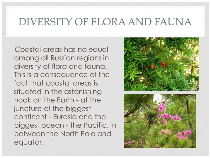 DIVERSITY OF FLORA AND FAUNA Coastal areas has no equal among