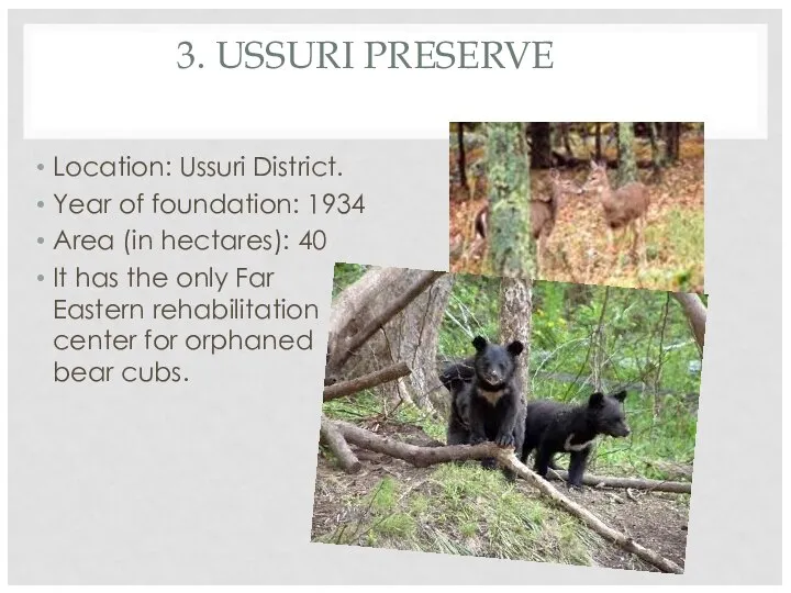 3. USSURI PRESERVE Location: Ussuri District. Year of foundation: 1934 Area