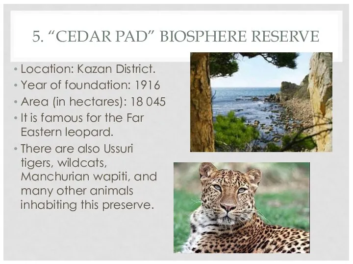 5. “CEDAR PAD” BIOSPHERE RESERVE Location: Kazan District. Year of foundation: