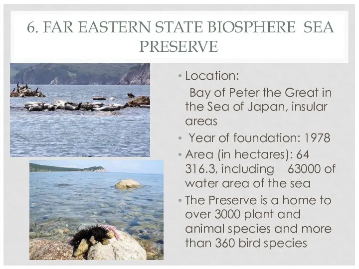 6. FAR EASTERN STATE BIOSPHERE SEA PRESERVE Location: Bay of Peter