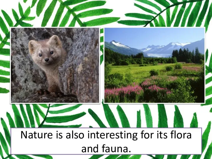 Nature is also interesting for its flora and fauna.