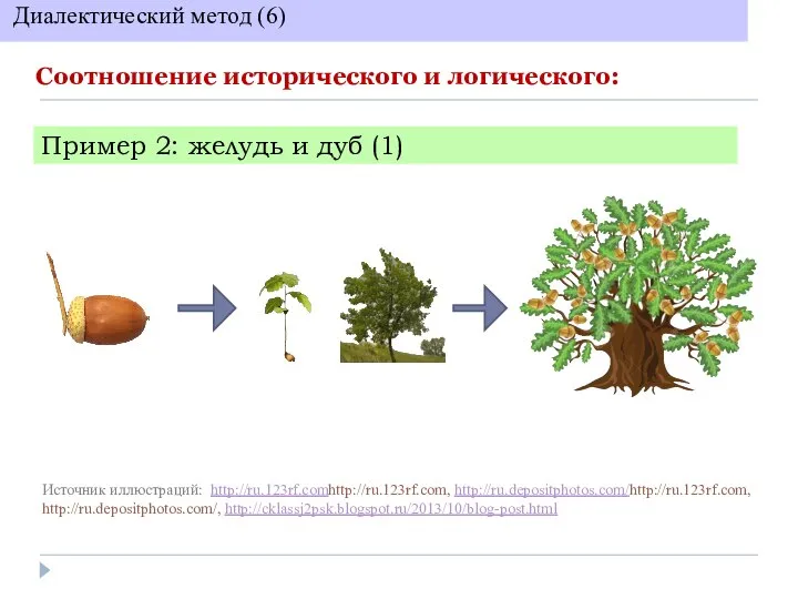 Соотношение исторического и логического: Диалектический метод (6) Пример 2: желудь и