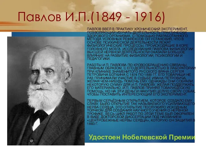 Павлов И.П.(1849 - 1916) ПАВЛОВ ВВЕЛ В ПРАКТИКУ ХРОНИЧЕСКИЙ ЭКСПЕРИМЕНТ, ПОЗВОЛЯЮЩИЙ