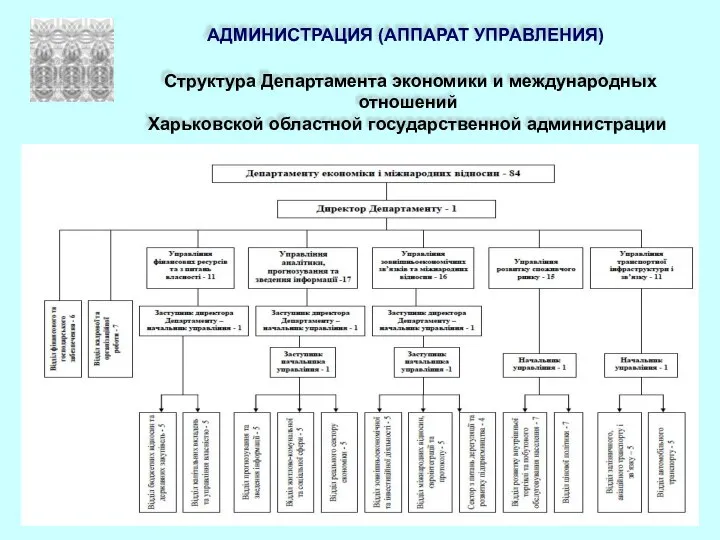 АДМИНИСТРАЦИЯ (АППАРАТ УПРАВЛЕНИЯ) Структура Департамента экономики и международных отношений Харьковской областной государственной администрации