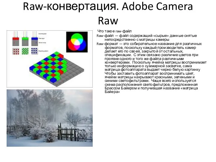 Raw-конвертация. Adobe Camera Raw Что такое raw-файл Raw-файл — файл содержащий