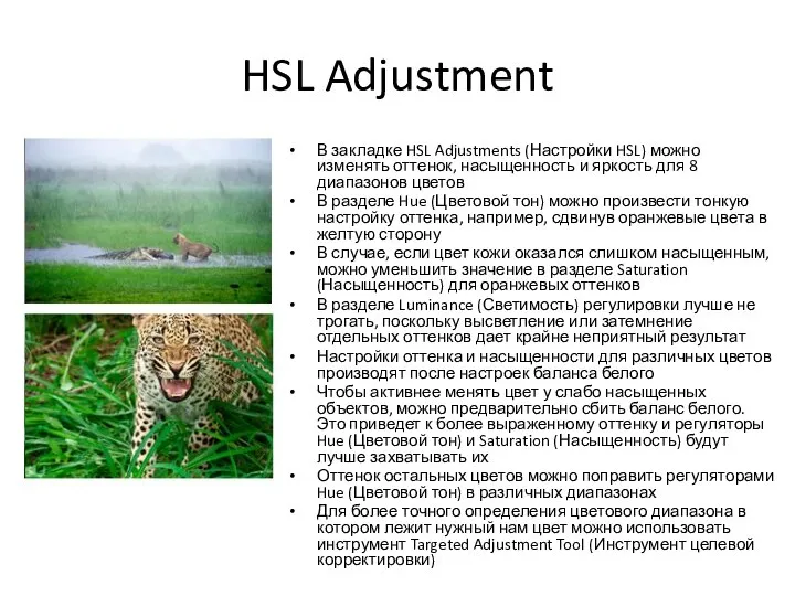 HSL Adjustment В закладке HSL Adjustments (Настройки HSL) можно изменять оттенок,