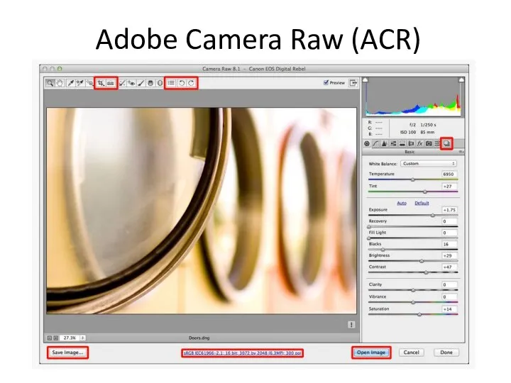 Adobe Camera Raw (ACR)