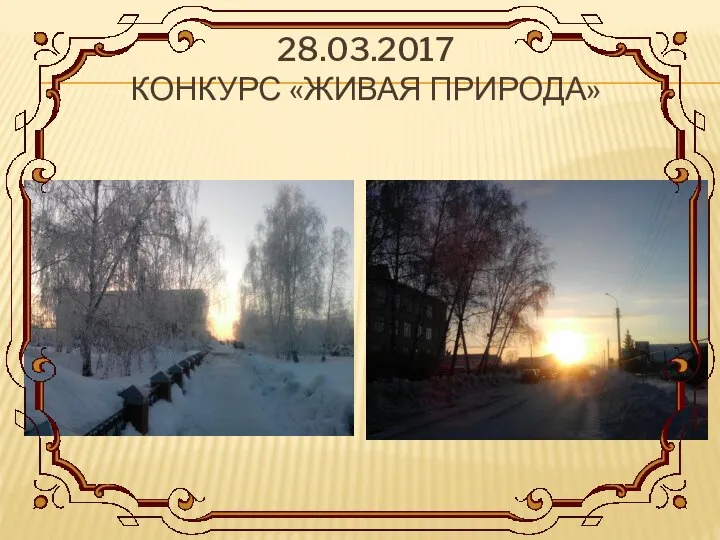 28.03.2017 КОНКУРС «ЖИВАЯ ПРИРОДА»