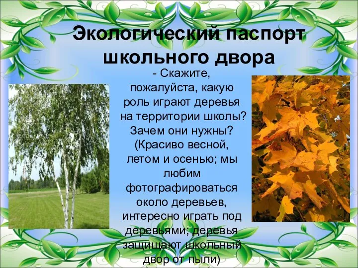 Экологический паспорт школьного двора - Скажите, пожалуйста, какую роль играют деревья