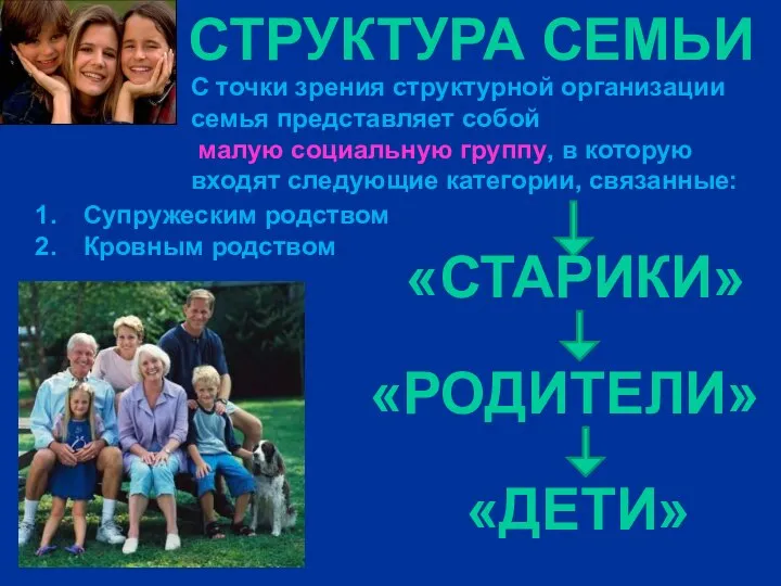 СТРУКТУРА СЕМЬИ С точки зрения структурной организации семья представляет собой малую