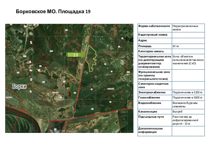 Борковское МО. Площадка 19