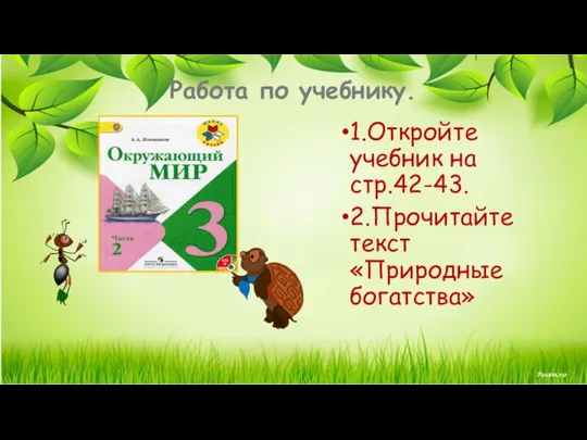 Работа по учебнику. 1.Откройте учебник на стр.42-43. 2.Прочитайте текст «Природные богатства»