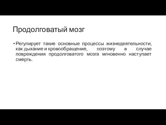 Продолговатый мозг Регулирует такие основные процессы жизнедеятельности, как дыхание и кровообращение,