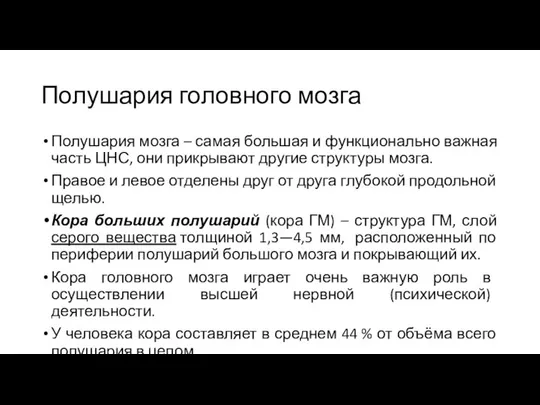 Полушария головного мозга Полушария мозга – самая большая и функционально важная