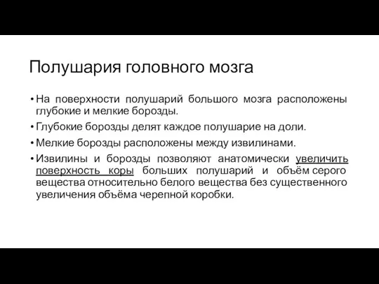 Полушария головного мозга На поверхности полушарий большого мозга расположены глубокие и