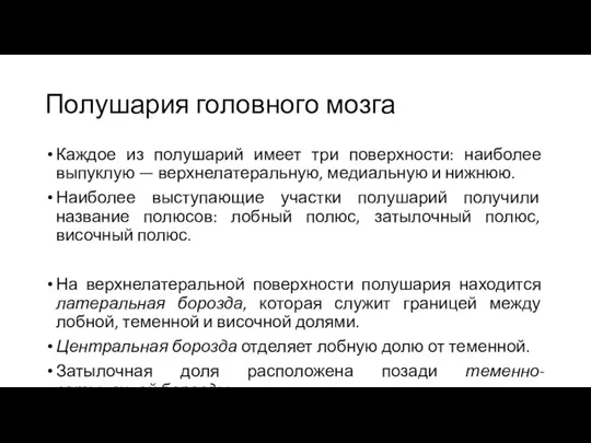 Полушария головного мозга Каждое из полушарий имеет три поверхности: наиболее выпуклую