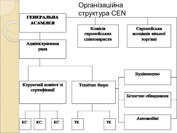 Організаційна структура CEN