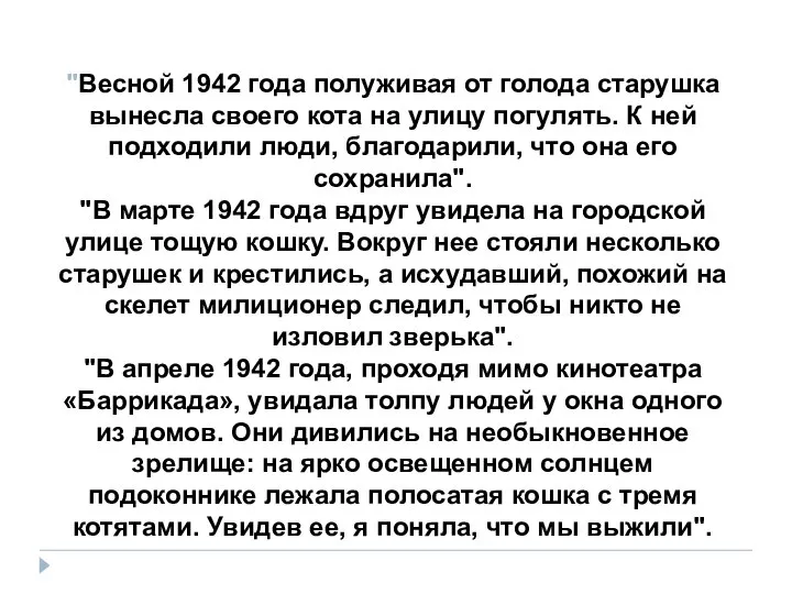 "Весной 1942 года полуживая от голода старушка вынесла своего кота на