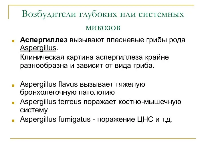 Возбудители глубоких или системных микозов Аспергиллез вызывают плесневые грибы рода Aspergillus.